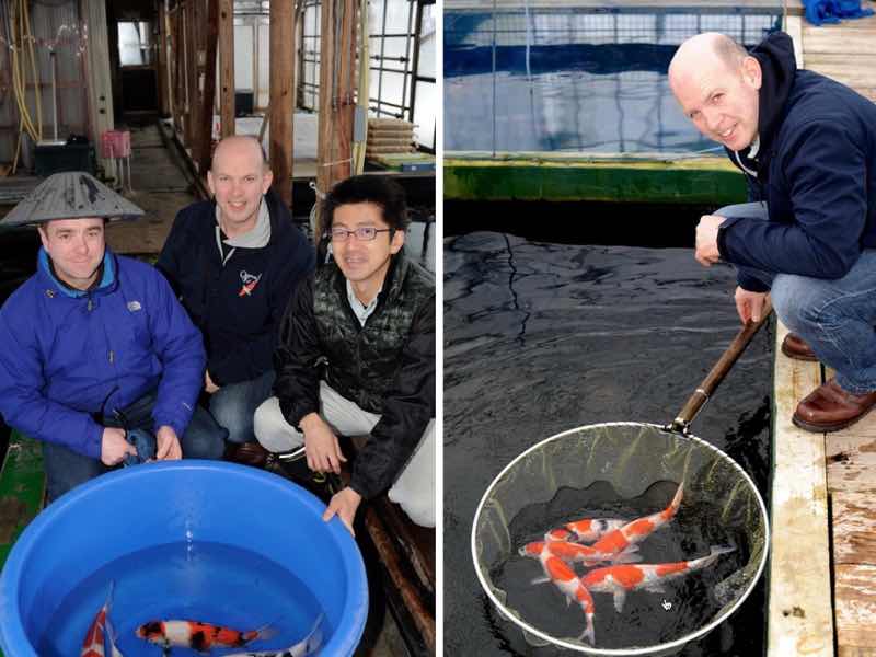 Stacks Image 202538